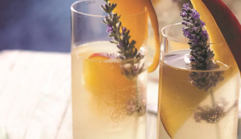 Lavantal� Kombu �ay�