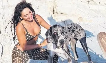 Köpek sahipleniyor