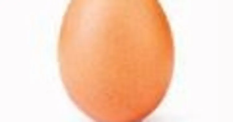 Yumurta 28 milyon beğeni ile rekor kırdı