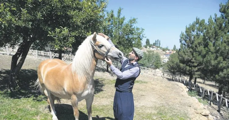 Fayton Atları Altındağ’da Korunuyor