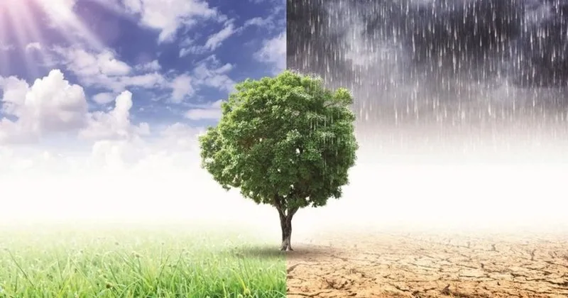 iklim degisikligi insanligi nasil etkiliyor saglik haberleri