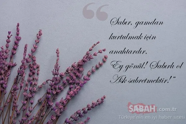 Doğum yıl dönümde Mevlana'yı anıyoruz...Mevlana'nın 10 özlü sözü