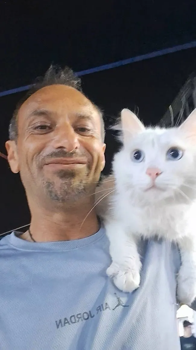 Kocaeli’de 46 yaşındaki Zülfi Satar her yerde Pars’ı arıyor: Nerede bir beyaz kedi görsem o sanıyorum...