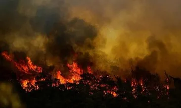 SON DAKİKA |  Orman yangınıyla ilgili soruşturma başlatıldı #mugla