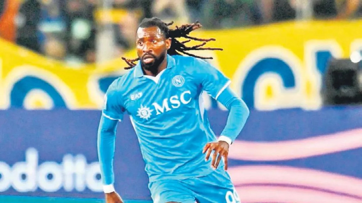 Anguissa kapışması