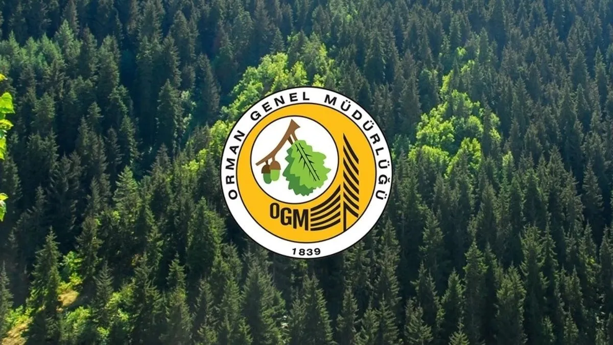 Orman Genel Müdürlüğü 262 daimi işçi alımı başvuru şartları: 2025 OGM işçi alımı başvurusu ne zaman ve nereden yapılır?
