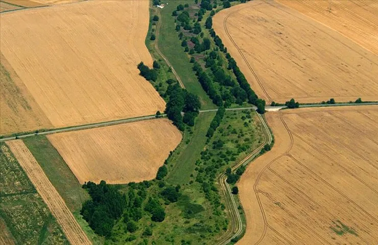 22 İLDE EKOLOJİK KORİDOR OLUŞTURULACAK
