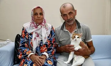 Engelli kedilere 20 yıldır umut oluyor! Ne mamalarını ne sularını asla eksik etmiyor... #giresun