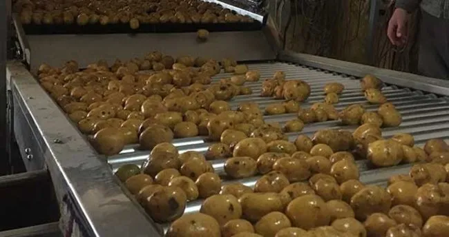 Patates üreticilerinin gözü ihracatta...