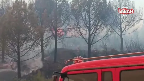 Çanakkale’de orman yangını: Kayadere Köyü boşaltıldı | Video