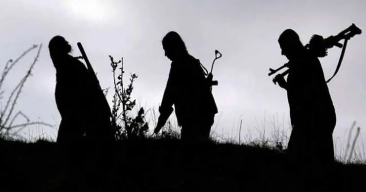 Şırnak’ta biri kadın 5 PKK’lı terörist yakalandı