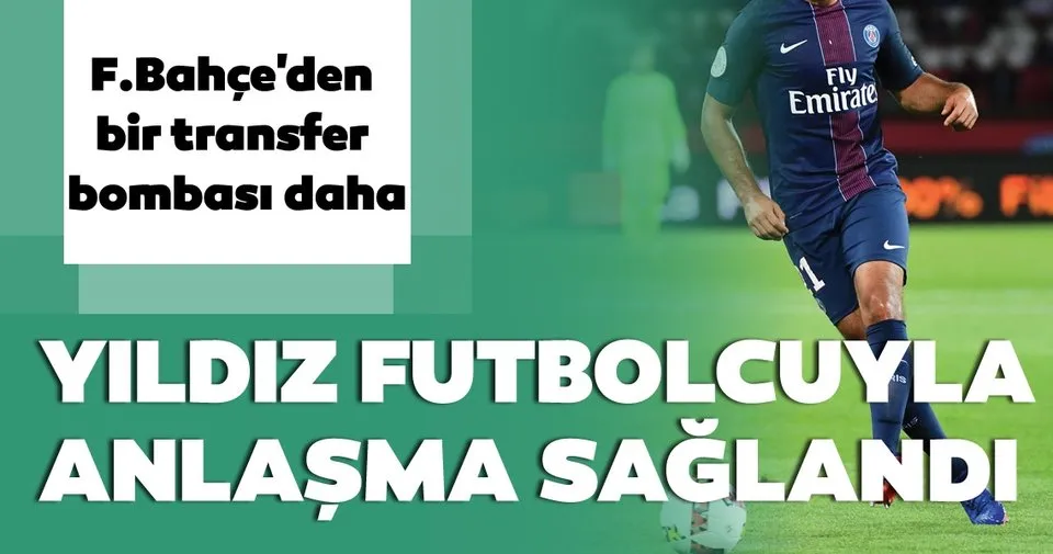 Son Dakika Fenerbahce Transfer Haberleri Fenerbahce Ben Arfa Ile Anlasti Spor Haberleri