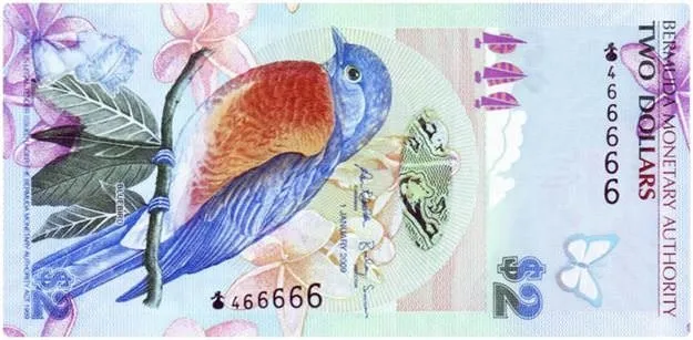 İşte dünyanın en güzel paraları!..