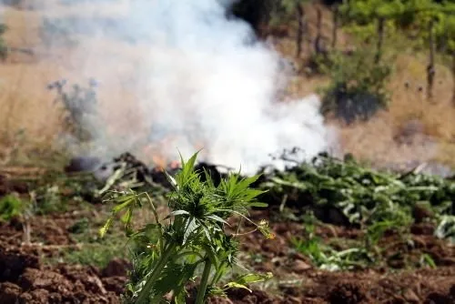 PKK'nın beli kurulduğu ovada büküldü
