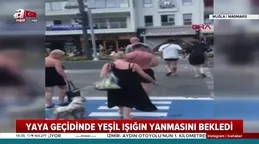 Kırmızı ışıkta bekleyen köpek