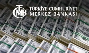 Merkez Bankası döviz rezervleri güçleniyor: 114 milyar dolara dayandı