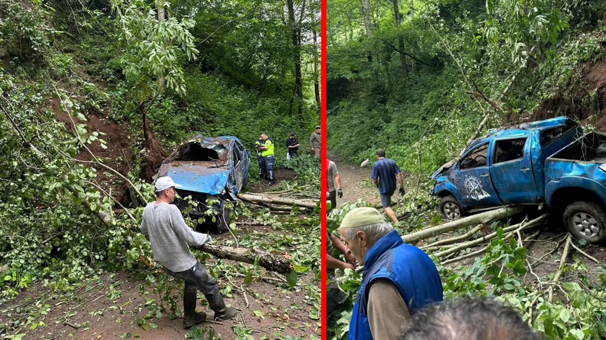 Rize'de uçuruma yuvarlanan kamyonetin kaza yeri