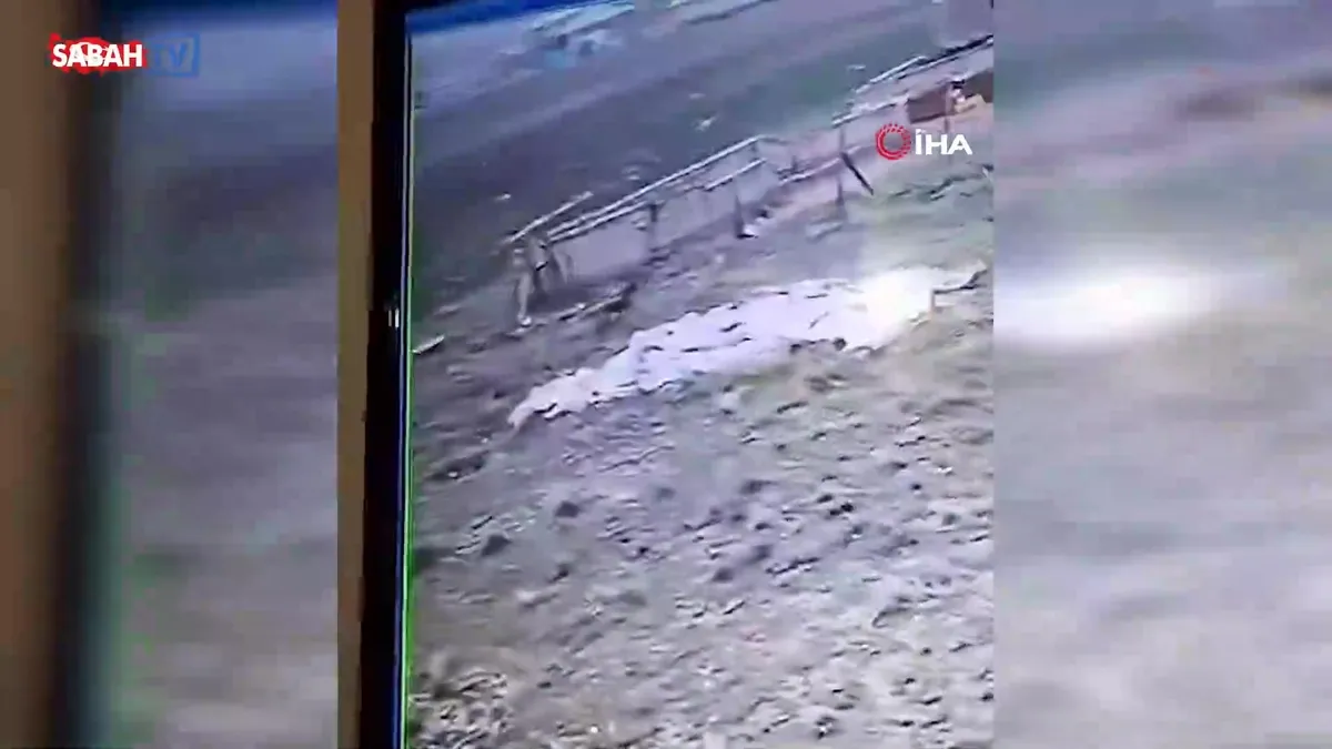 1 çocuğun hayatını kaybettiği köpek dehşetinin görüntüleri ortaya çıktı | Video videosunu izle 1 çocuğun hayatını kaybettiği köpek dehşetinin görüntüleri ortaya çıktı | Video videosunu izle