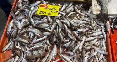 Kocaeli Balıkhan'da balık fiyatları: Hamsi, Palamut ve Lüfer kaç TL? #kocaeli