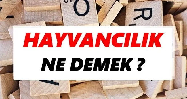 Hayvancılık Ne Demek? TDK’ya Göre Hayvancılık Sözlük Anlamı Nedir?
