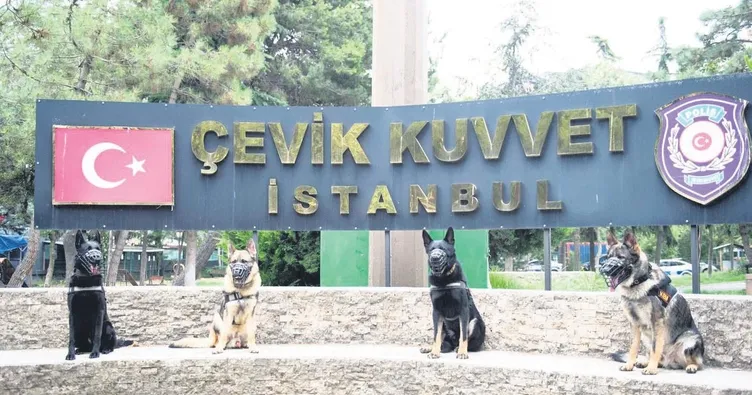 Patili kahramanlar suçluların peşinde