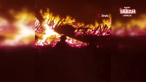 Şili'de orman yangını: 750 hektar küle döndü | Video