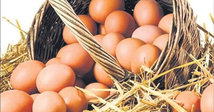 Avrupa’ya 6 yıl sonra yumurta ihracatı