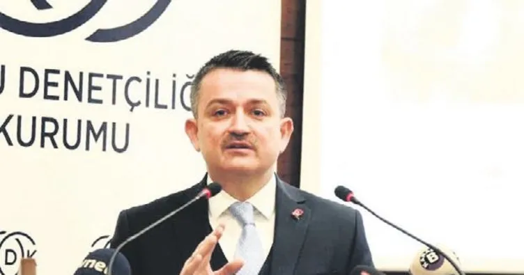 Hayvana şiddete karşı önlem