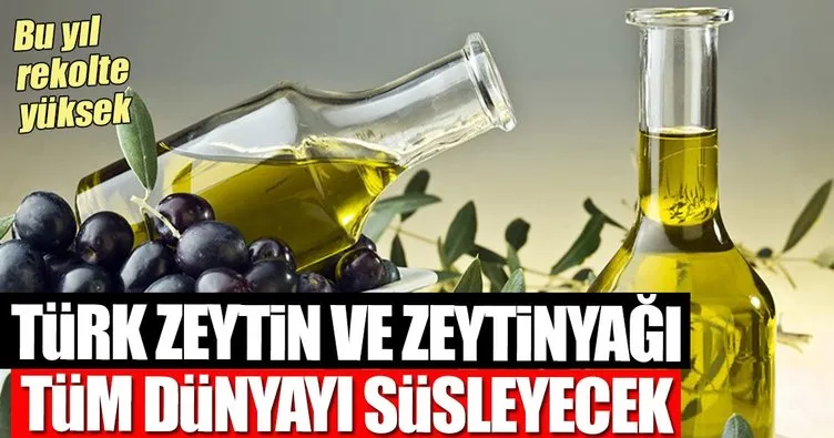 Dünya raflarını Türk zeytinyağıyla süsleyeceğiz