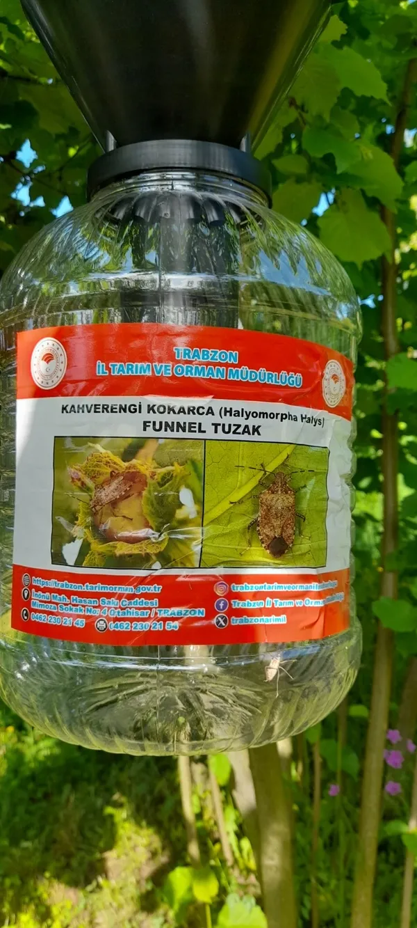 kokarca-ile-savasta-25-bin-hamle-212-bin-samuray-arisi-dogaya-salindi-2-bin-500-dekardan-fazla-alan-ilaclandi-1791963287395.jpg