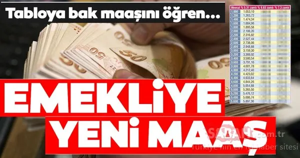Emeklinin ocak zammı için yeni tahmin! İşte 2020 emekli maaşları listesi...