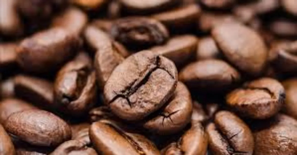 Kahve vadeli kontratları yüksek seviyelerde seyrediyor Kahve vadeli kontratları yüksek seviyelerde seyrediyor