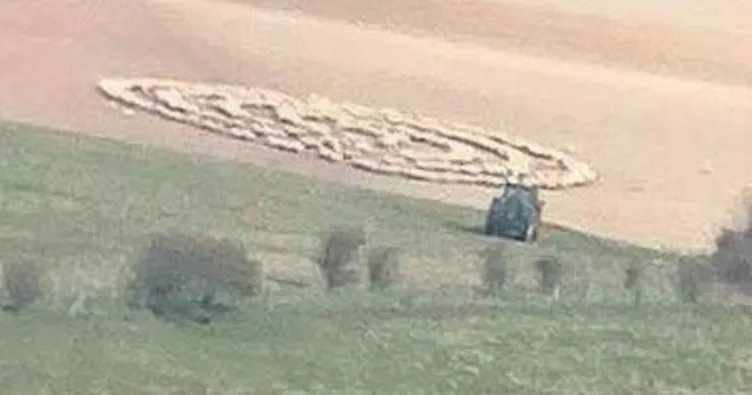 Koyunlar uçan daire oldular