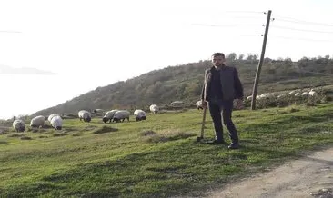 Gümüşhane'de kenenin ısırdığı çoban öldü #gumushane
