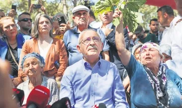 Pişkinliğin bu kadarına pes!