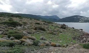 ‘Cennet Koyu’nda sit alanı korunacak’