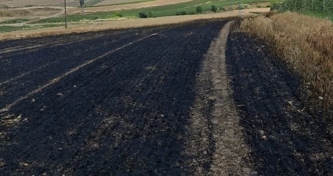 Tekirdağ’da 13 dönüm arpa ekili alan yandı