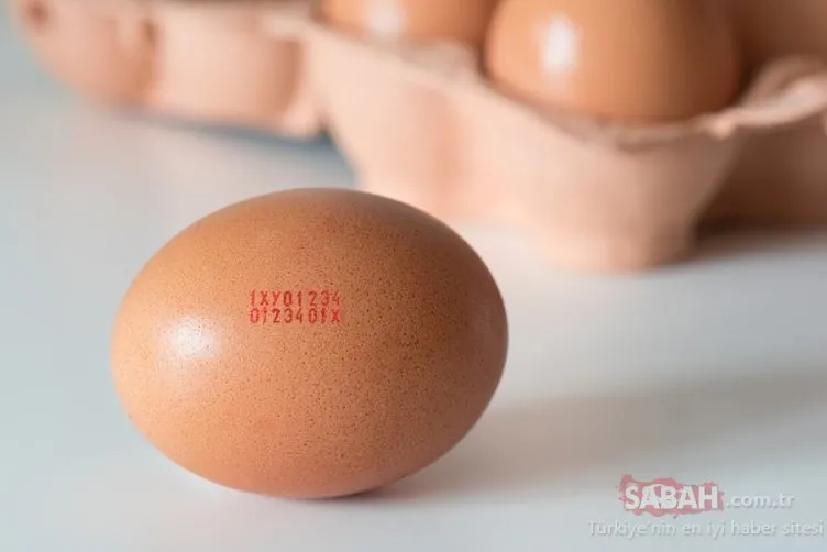 Yumurtanın üzerinde yazan kodlara dikkat! Meğer...