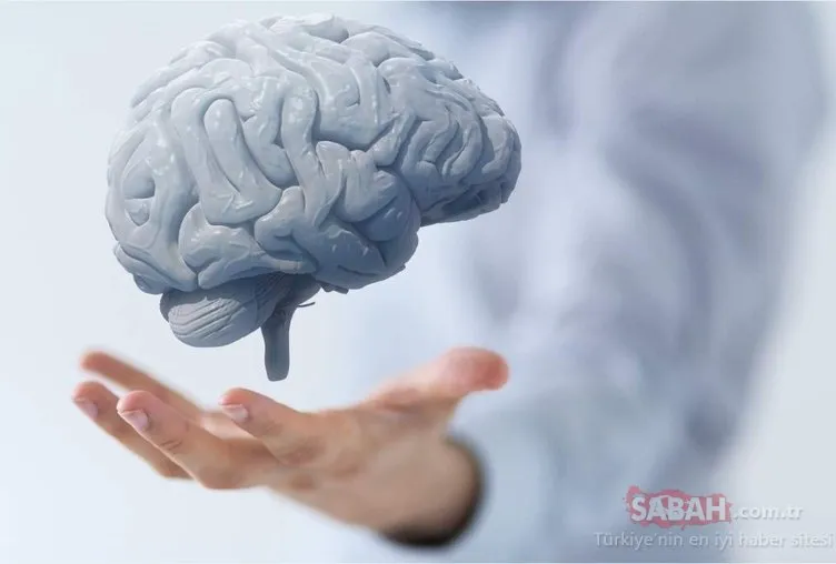 Beyin hücrelerini yeniliyor ve hafızayı güçlendiriyor!