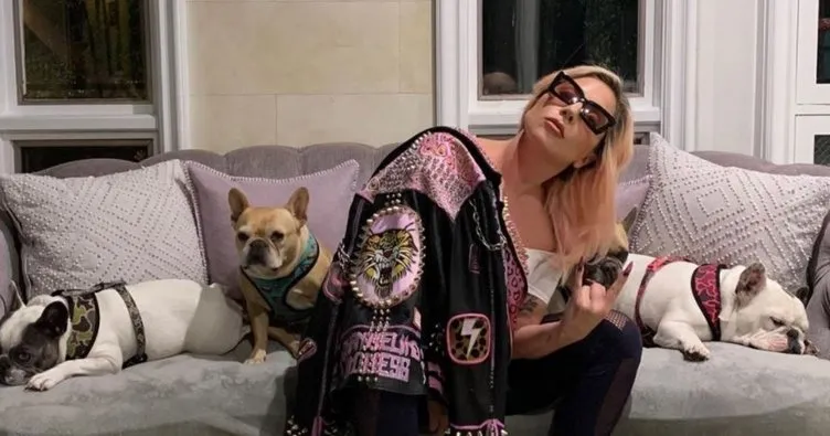 Ünlü şarkıcı Lady Gaga’nın yardımcısı vuruldu, köpekleri çalındı