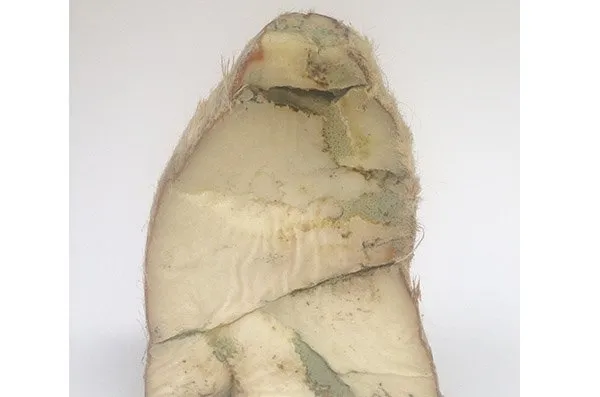 Gıda, Tarım ve Hayvancılık Bakanlığı'nın açıkladığı zehir saçan hileli ürünler listesi