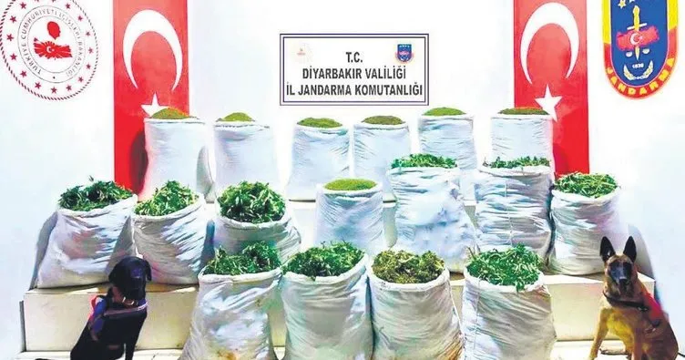 Terörün finans kaynağına darbe