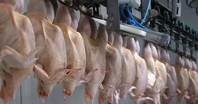 SON DAKİKA: Tavuk etine ihracat kısıtlaması! 80 bin ton...