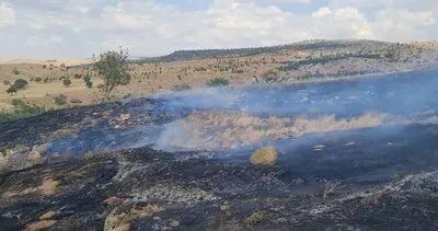 3 bin dönümlük arazi kül olmuştu: Yangının sebebi ortaya çıktı #kirikkale