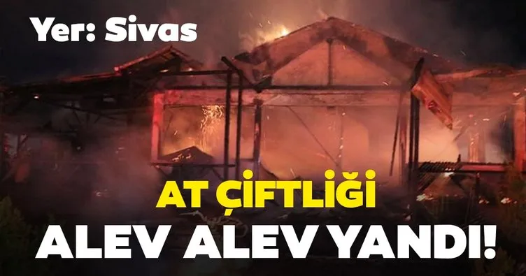 Sivas’taki at çiftliği alev alev yandı
