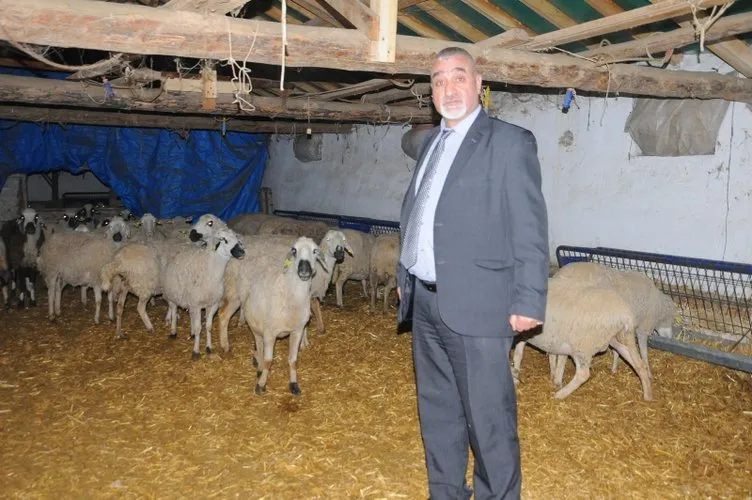 Ukrayna’dan koyun getirmek isterken dolandırıldı
