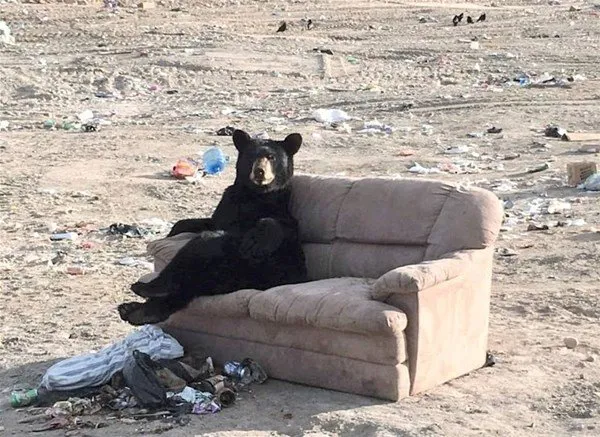 Raylara sıkışan eşini yalnız bırakmadı!