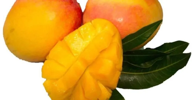 Mangonun faydaları nelerdir? Mango nasıl yenir?