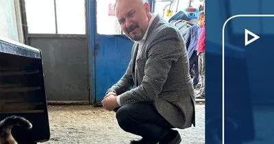 AK Parti Milletvekili adayı Mestan Özcan’ın hayvan sevgisi medyada gündem oldu