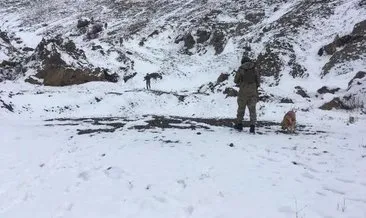Van’da PKK’ya ait, silah mühimmat ve el bombaları bulundu